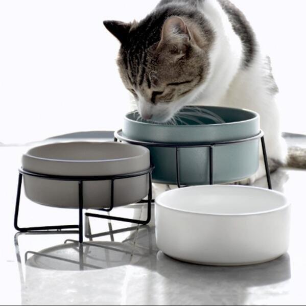 食器台 ペット用 フードスタンド付き 可愛い カラフル フードボウル 陶器 犬 猫 イヌ 容器 えさ 給餌器 給水器 フード 容器 食器 スタン